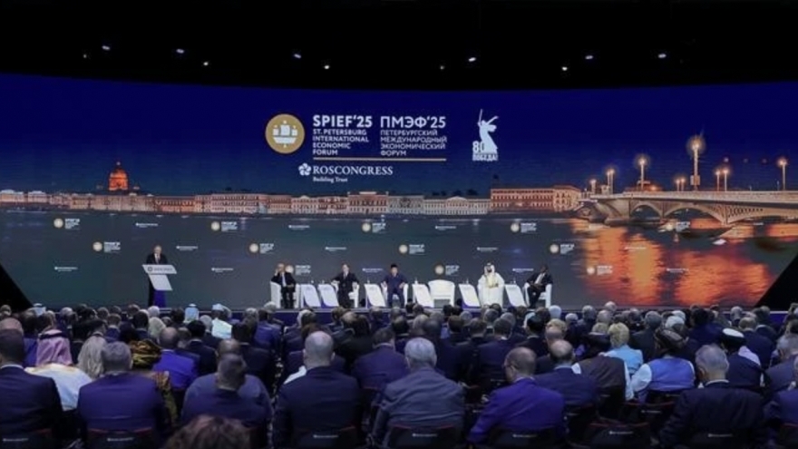 Deputy PM attends St. Petersburg economic forum, sidelines bilateral activities